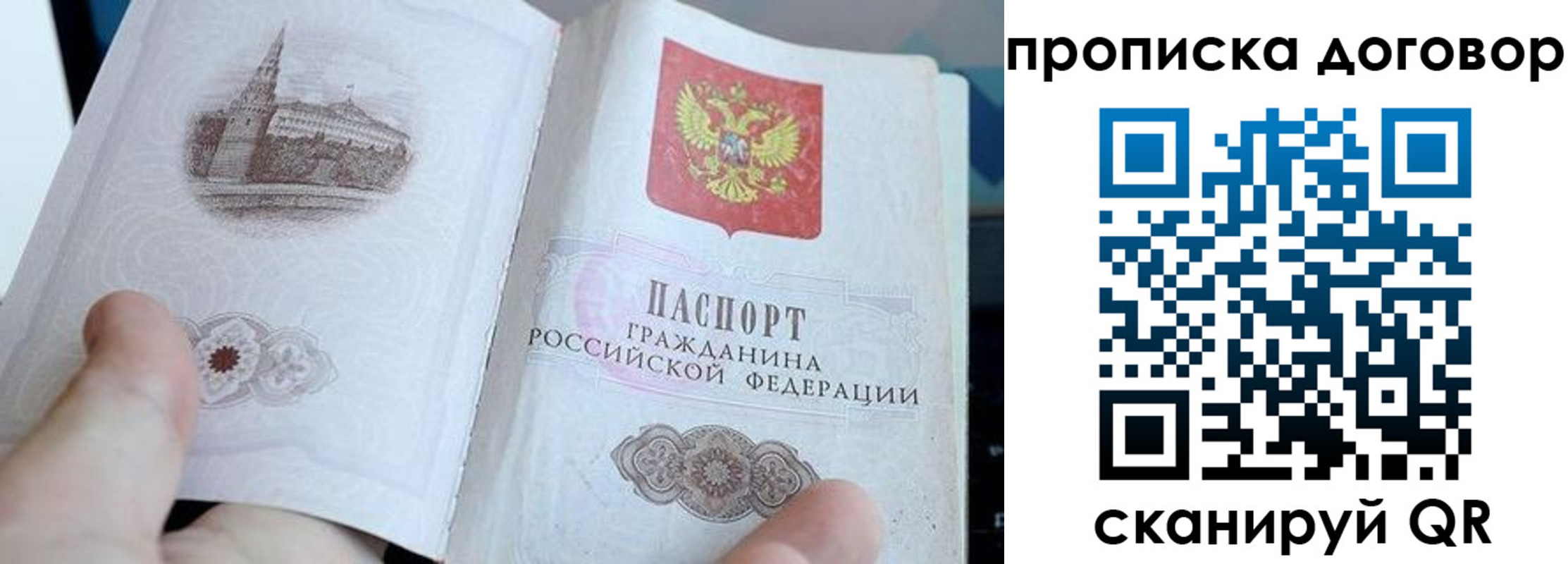 прописка в Луге